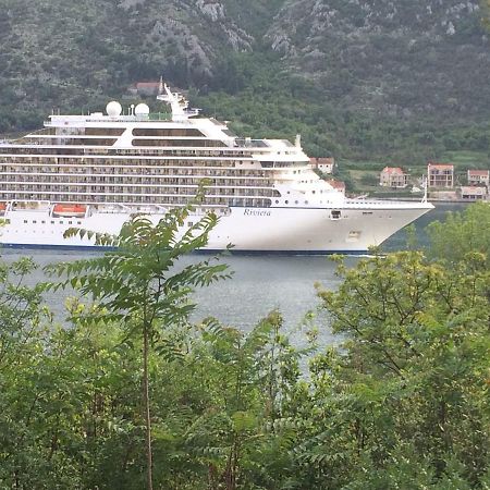Studio Jeff 1 Lägenhet Kotor Exteriör bild